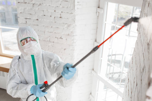 Eatonville, FL Mold Removal Company