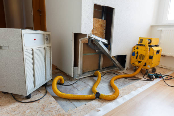 Best Emergency Mold Remediation  in Eatonville, FL